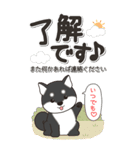 やさしい黒柴『仕事＆連絡』（個別スタンプ：10）