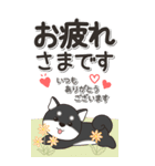 やさしい黒柴『仕事＆連絡』（個別スタンプ：16）