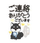 やさしい黒柴『仕事＆連絡』（個別スタンプ：21）
