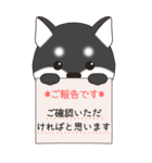 やさしい黒柴『仕事＆連絡』（個別スタンプ：25）