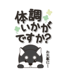やさしい黒柴『仕事＆連絡』（個別スタンプ：29）