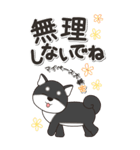 やさしい黒柴『仕事＆連絡』（個別スタンプ：32）