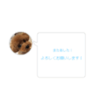 まる◯うちのコ（個別スタンプ：8）