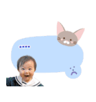 テスト制作中（個別スタンプ：31）