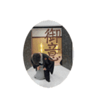 Kanaty5 女将 AI ④（個別スタンプ：15）