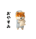 動く！豆柴わんだふる3（個別スタンプ：6）