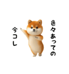 動く！豆柴わんだふる3（個別スタンプ：9）