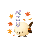 しまちゃんと一緒:秋（個別スタンプ：4）
