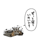 無気力セミ（個別スタンプ：36）