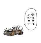 無気力セミ（個別スタンプ：38）