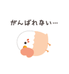 ことりづくし【ネガティブ】（個別スタンプ：3）