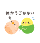 ことりづくし【ネガティブ】（個別スタンプ：7）