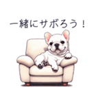 とてもかわいいフレンチ ブルドッグ（個別スタンプ：2）