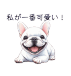 とてもかわいいフレンチ ブルドッグ（個別スタンプ：3）