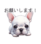とてもかわいいフレンチ ブルドッグ（個別スタンプ：12）
