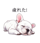 とてもかわいいフレンチ ブルドッグ（個別スタンプ：16）