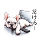 とてもかわいいフレンチ ブルドッグ（個別スタンプ：23）
