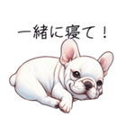 とてもかわいいフレンチ ブルドッグ（個別スタンプ：24）