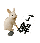 仲良し三匹 アーティスト編（個別スタンプ：36）