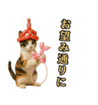 仲良し三匹 アーティスト編（個別スタンプ：38）