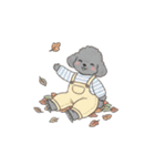 トイプードル秋冬(グレー、シルバー)（個別スタンプ：4）