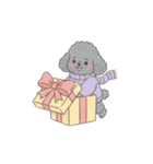 トイプードル秋冬(グレー、シルバー)（個別スタンプ：10）