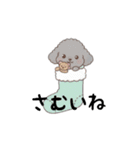 トイプードル秋冬(グレー、シルバー)（個別スタンプ：12）