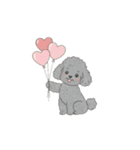 トイプードル秋冬(グレー、シルバー)（個別スタンプ：23）