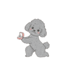 トイプードル秋冬(グレー、シルバー)（個別スタンプ：27）