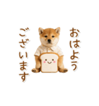 ▶動く！柴犬の日常スタンプ（個別スタンプ：2）