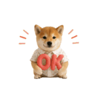 ▶動く！柴犬の日常スタンプ（個別スタンプ：9）