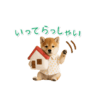 ▶動く！柴犬の日常スタンプ（個別スタンプ：18）