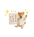 ▶動く！柴犬の日常スタンプ（個別スタンプ：19）