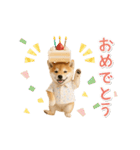 ▶動く！柴犬の日常スタンプ（個別スタンプ：22）