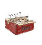 よこん家のレミ君（個別スタンプ：8）