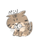 よこん家のレミ君（個別スタンプ：9）