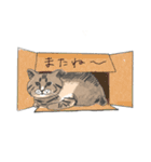 よこん家のレミ君（個別スタンプ：19）