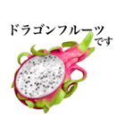 南国のドラゴンフルーツ（個別スタンプ：1）