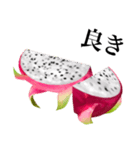 南国のドラゴンフルーツ（個別スタンプ：2）