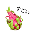 南国のドラゴンフルーツ（個別スタンプ：3）