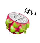 南国のドラゴンフルーツ（個別スタンプ：4）
