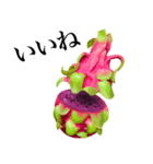 南国のドラゴンフルーツ（個別スタンプ：5）