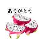 南国のドラゴンフルーツ（個別スタンプ：6）