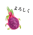 南国のドラゴンフルーツ（個別スタンプ：9）