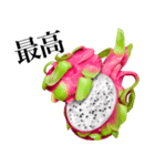 南国のドラゴンフルーツ（個別スタンプ：10）