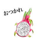 南国のドラゴンフルーツ（個別スタンプ：11）