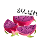 南国のドラゴンフルーツ（個別スタンプ：12）