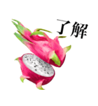 南国のドラゴンフルーツ（個別スタンプ：14）
