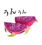 南国のドラゴンフルーツ（個別スタンプ：15）