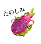 南国のドラゴンフルーツ（個別スタンプ：18）